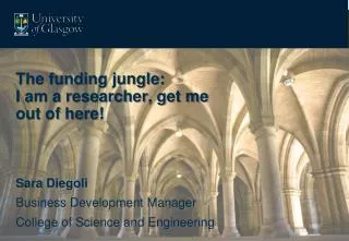 The funding jungle: I am a researcher, get me out of here!