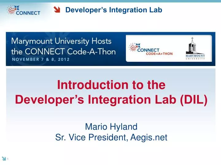 developer s integration lab