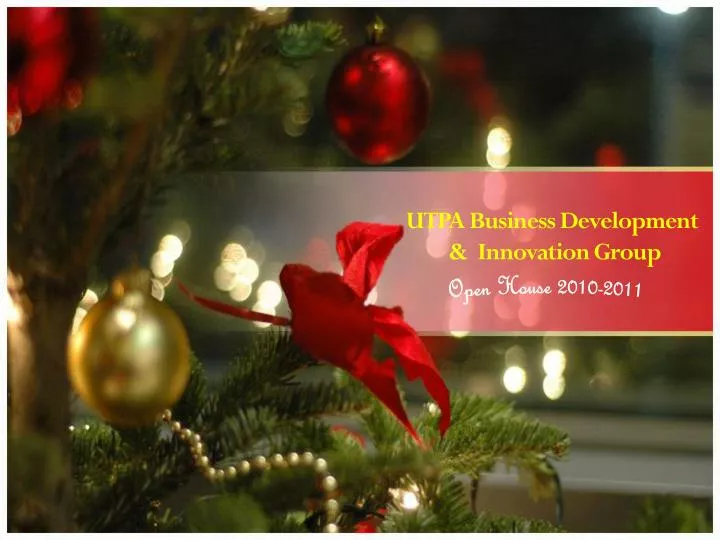 utpa business development innovation group