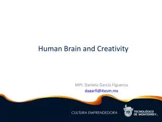 Human Brain and Creativity