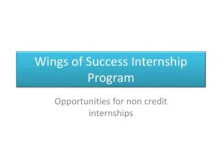 Wings of Success Internship Program