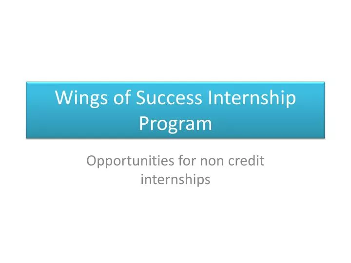 wings of success internship program