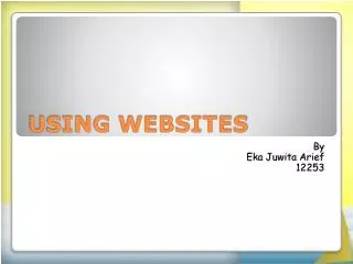 USING WEBSITES