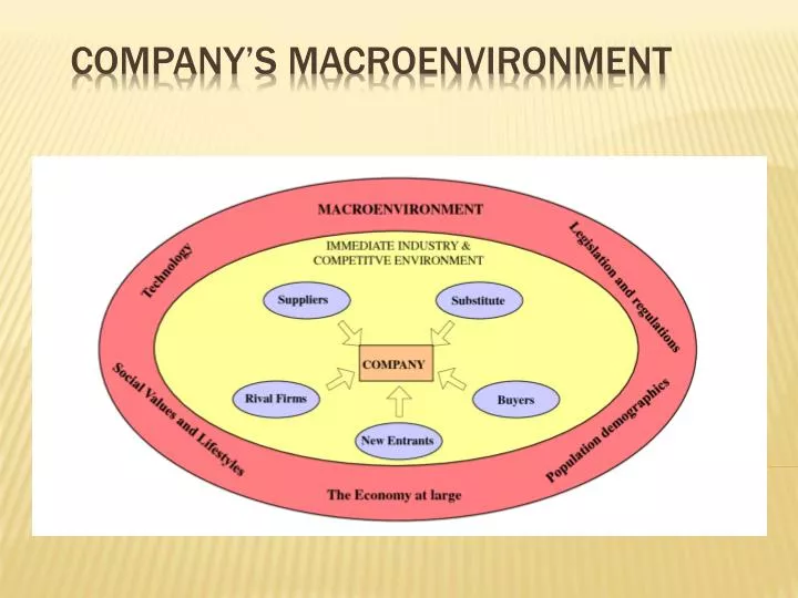 company s macroenvironment