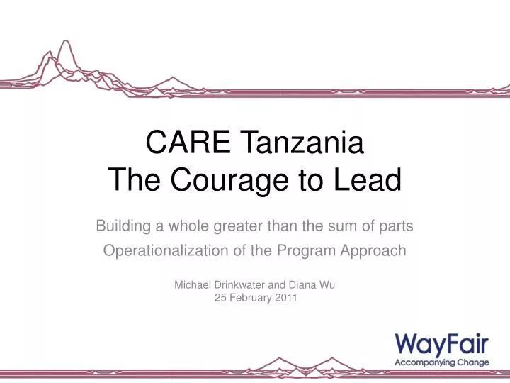 care tanzania the courage to lead