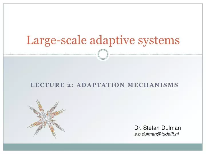 large scale adaptive systems
