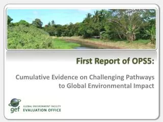Cumulative Evidence on Challenging Pathways to Global Environmental Impact