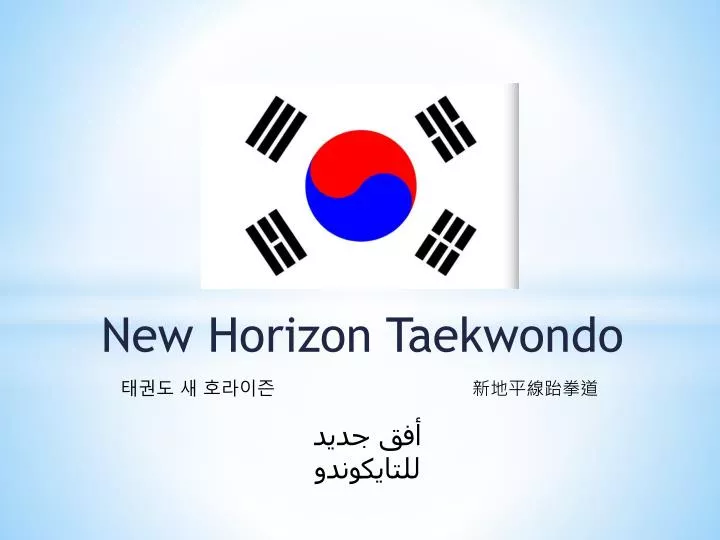 new horizon taekwondo