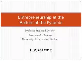 Entrepreneurship at the Bottom of the Pyramid