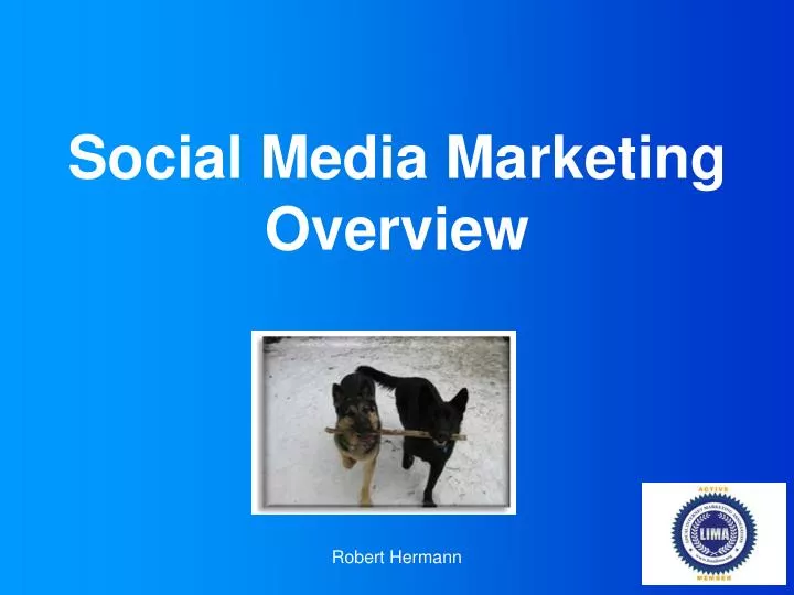 social media marketing overview