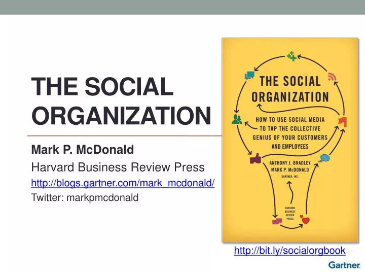 the social organization
