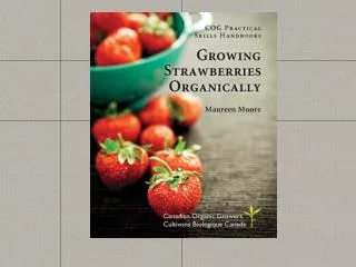How to Grow Strawberries the Organic W ay