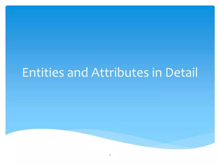 entities and attributes in detail