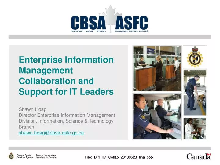 enterprise information management collaboration and support for it leaders