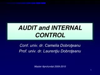 AUDIT and INTERNAL CONTROL