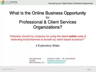 What is the Online Business Opportunity for Professional &amp; Client Services Organizations?