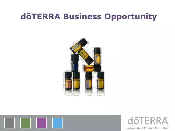d terra business opportunity