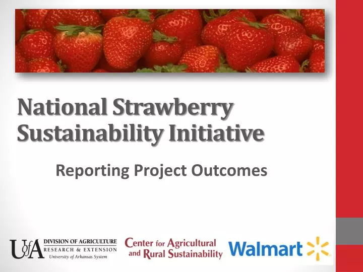 national strawberry sustainability initiative