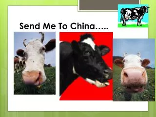 Send Me To China…..