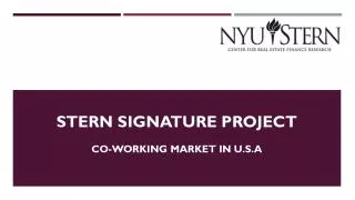 Stern Signature project
