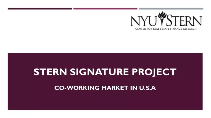 stern signature project