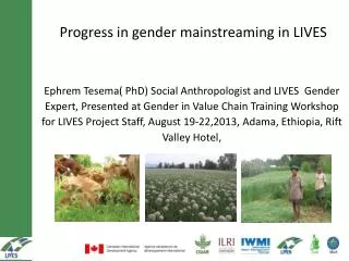 Progress in gender mainstreaming in LIVES