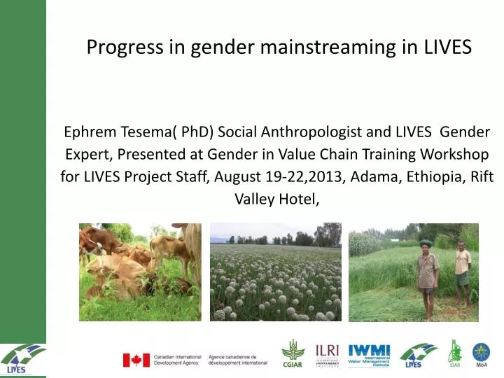 progress in gender mainstreaming in lives