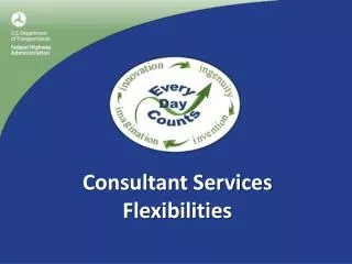 Consultant Services Flexibilities