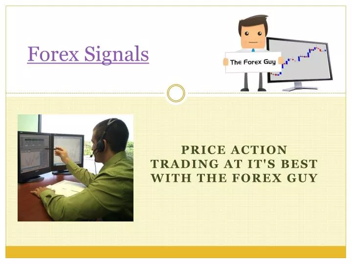 forex signals