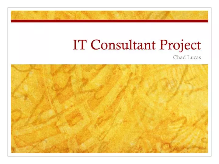 it consultant project