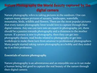 Nature Photography the World Beauty captured by the digital