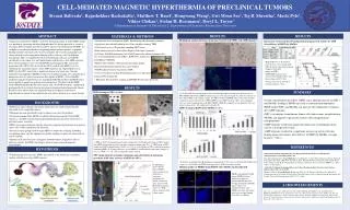 Cell-mediated Magnetic hyperthermia of preclinical tumors
