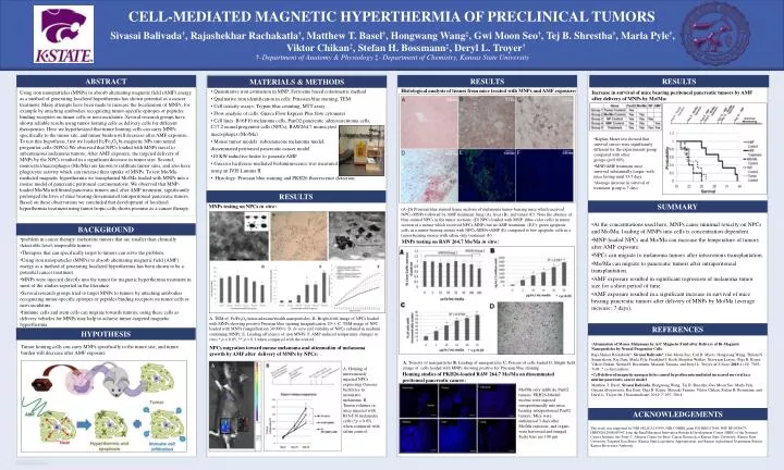 cell mediated magnetic hyperthermia of preclinical tumors
