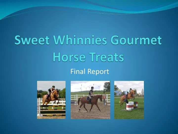 sweet whinnies gourmet horse treats