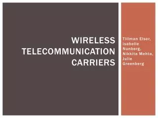 Wireless Telecommunication Carriers