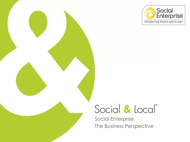 social enterprise the business perspective