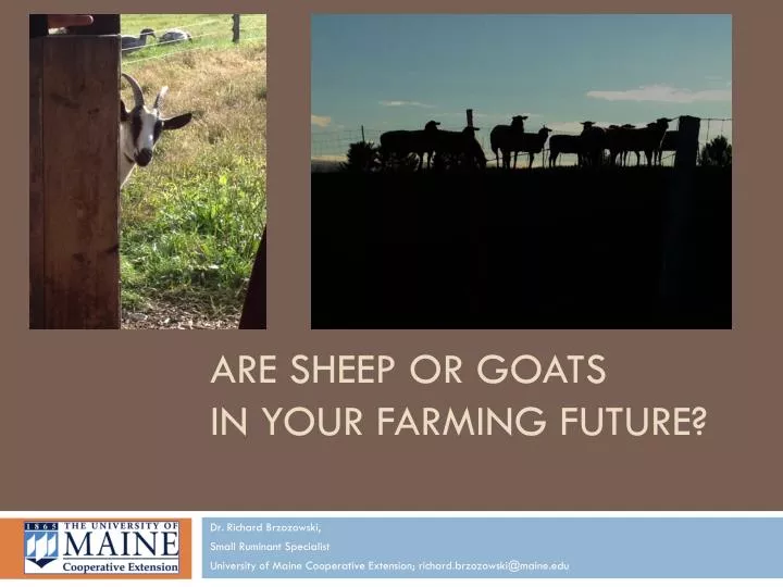 are sheep or goats in your farming future