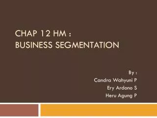 CHAP 12 HM : BUSINESS SEGMENTATION