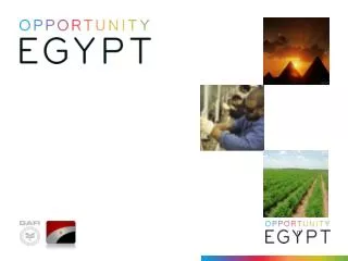 Egypt at a Glance