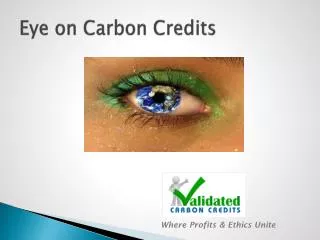 Eye on Carbon Credits