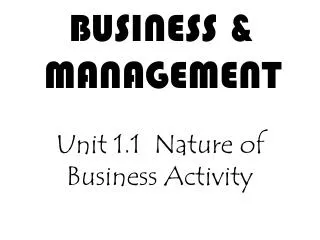 BUSINESS &amp; MANAGEMENT