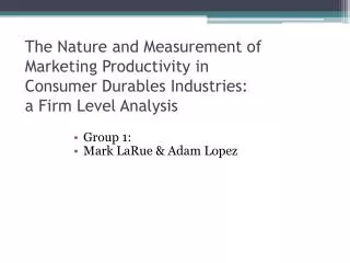 The Nature and Measurement of Marketing Productivity in Consumer Durables Industries: a Firm Level Analysis