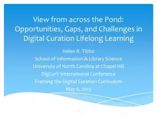 View from across the Pond: Opportunities, Gaps, and Challenges in Digital Curation Lifelong Learning