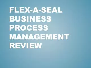 Flex-A-Seal Business Process Management Review
