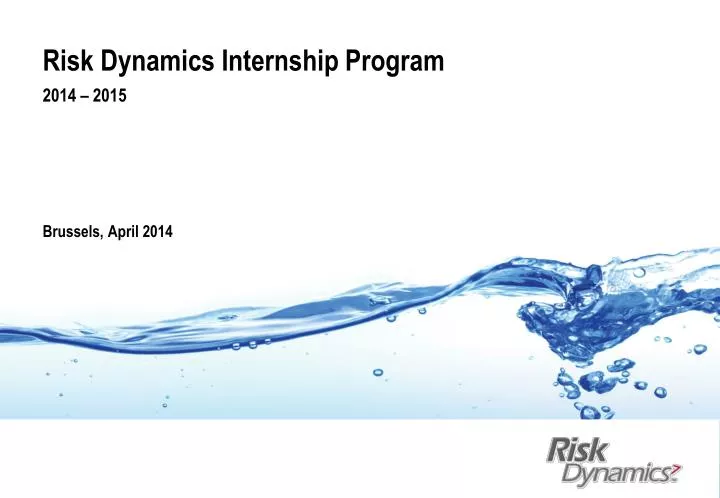 risk dynamics internship program