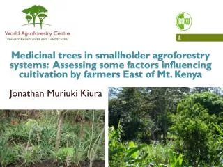 Medicinal trees in smallholder agroforestry systems: Assessing some factors influencing cultivation by farmers East o