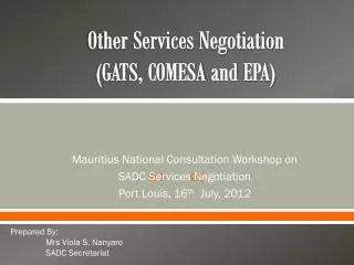 Other Services Negotiation ( GATS , COMESA and EPA)