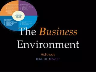 The B usiness Environment