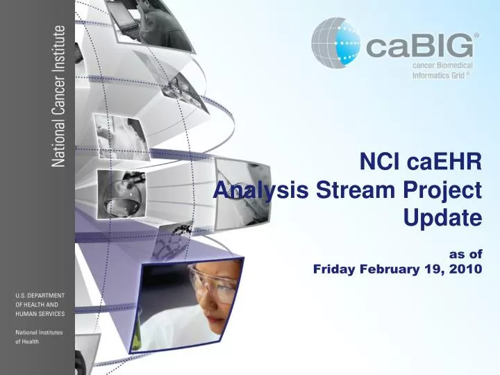nci caehr analysis stream project update as of friday february 19 2010