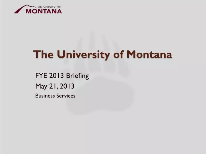 the university of montana